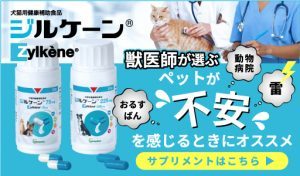 236column_512_300-300x176