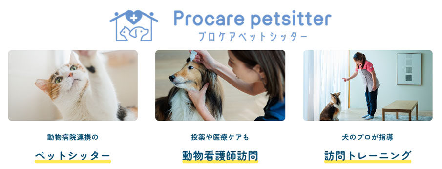 procare2