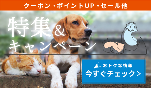 クーポンのご案内