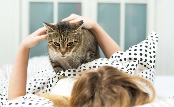 猫が飼い主を起こしに来る心理