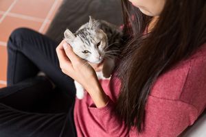 飼い主が確認すべきポイント