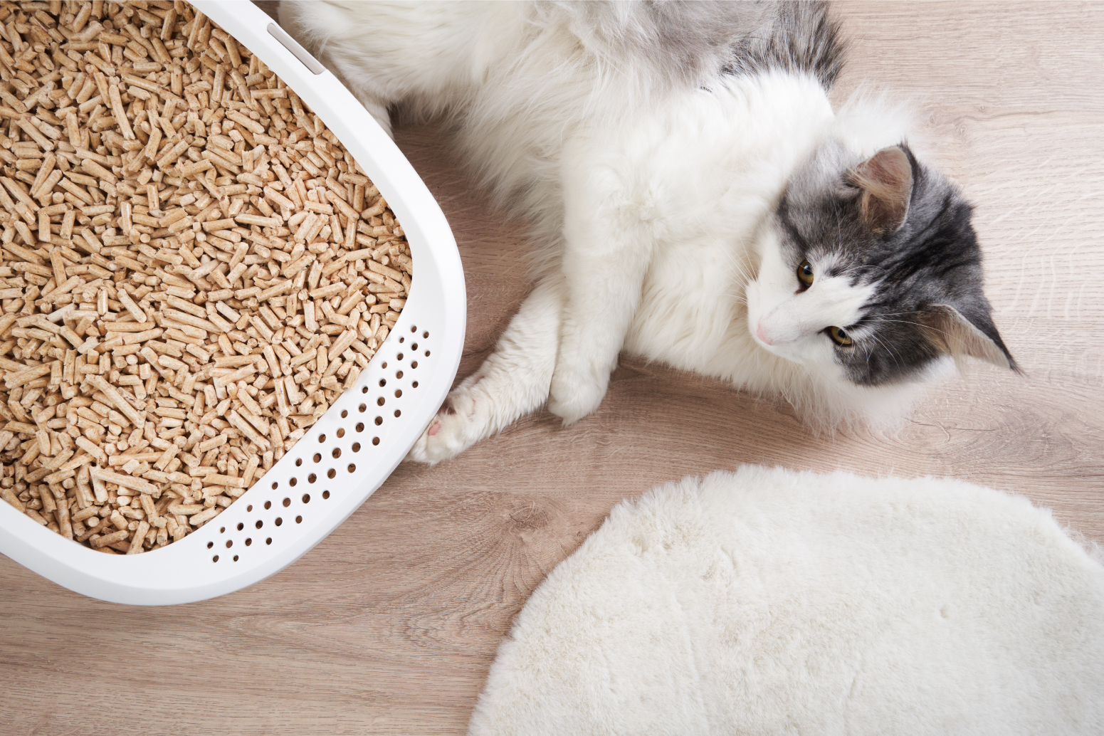 AdobeStock_1380756412