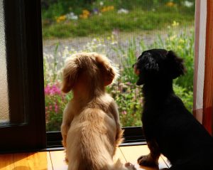 AdobeStock_425451921