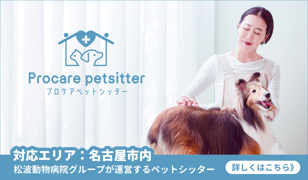 プロケアペットシッター
